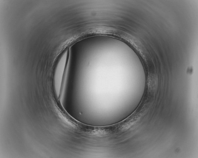 X0000093470445200710261046