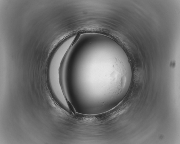 X0000093470446200710261046