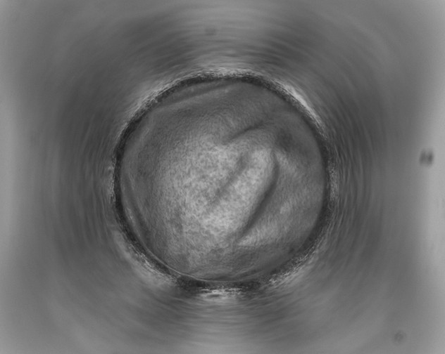 X0000093470447200710261046