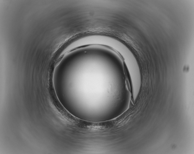 X0000093470448200710261046