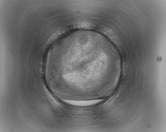 X0000093470449200710261046