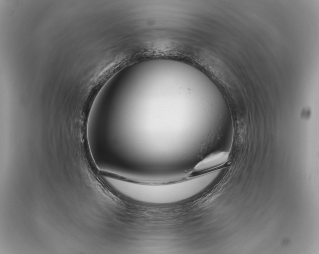 X0000093470450200710261047