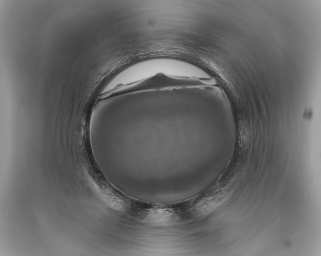 X0000093470451200710261047