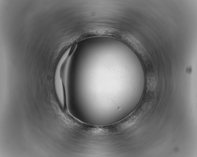 X0000093470453200710261047