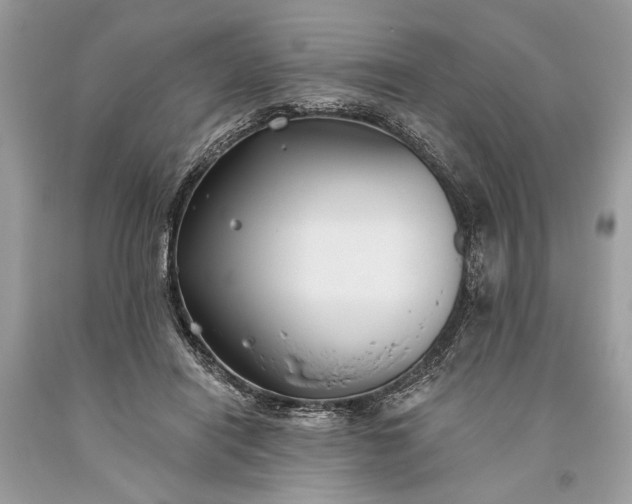 X0000093470454200710261047