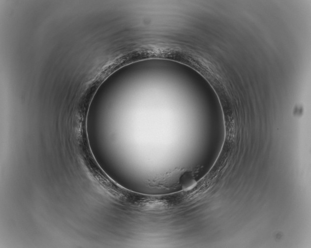 X0000093470456200710261047