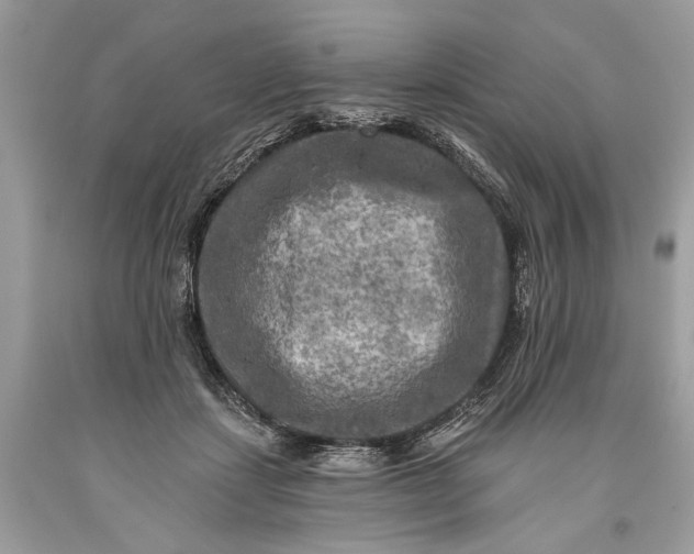 X0000093470459200710261047