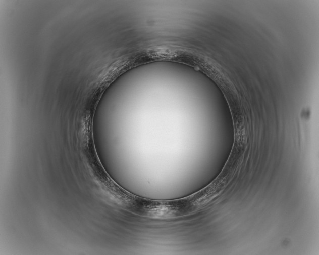 X0000093470460200710261047