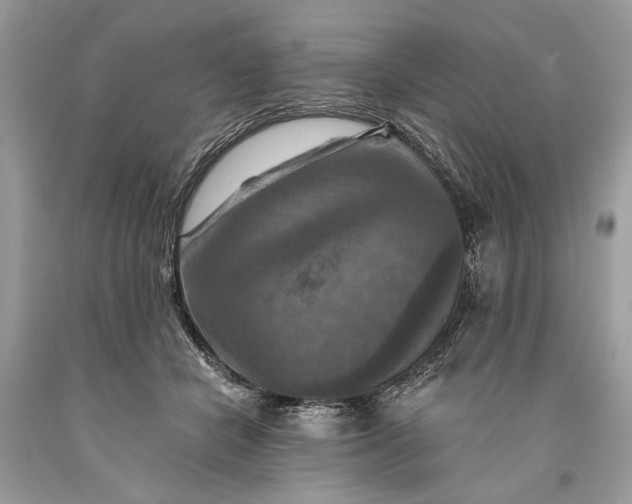 X0000093470462200710261047