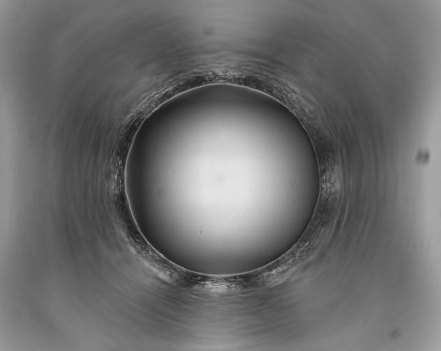 X0000093470464200710261047