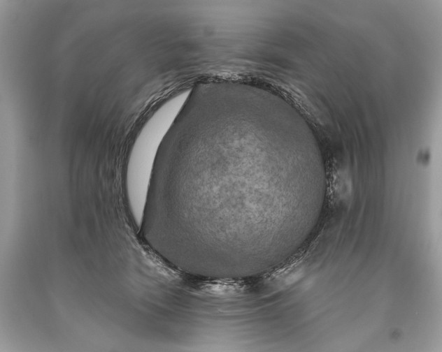 X0000093470466200710261047