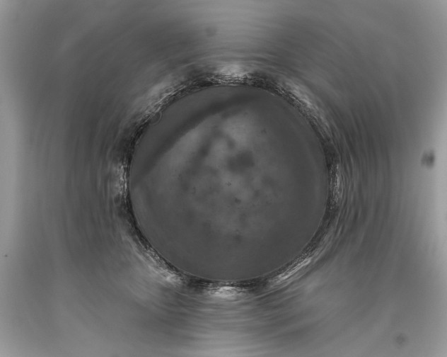 X0000093470467200710261047