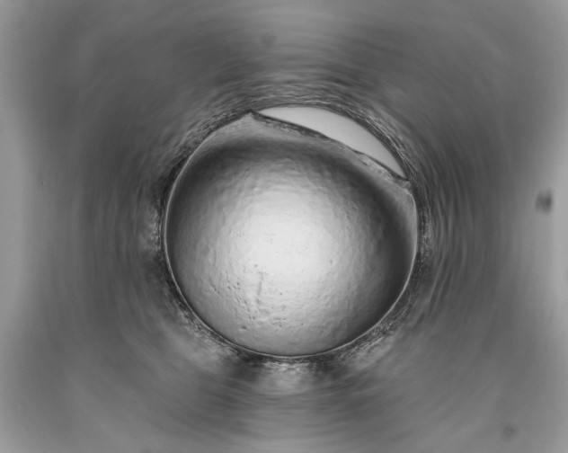 X0000093470469200710261047