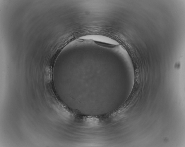 X0000093470471200710261047