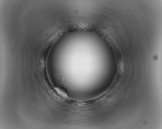 X0000093470472200710261047