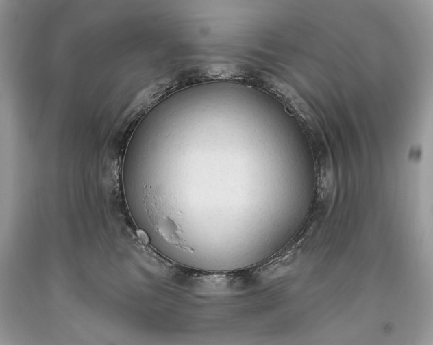 X0000093470473200710261047