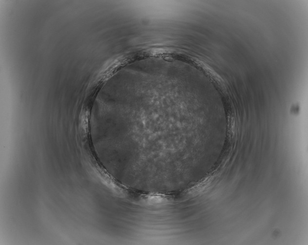 X0000093470475200710261047