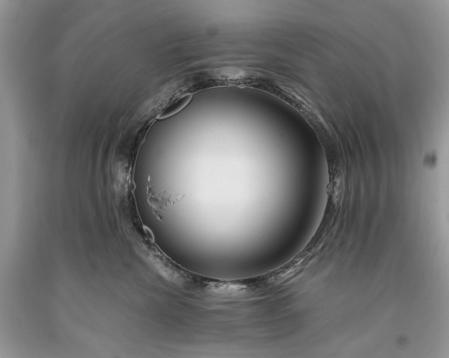 X0000093470476200710261047