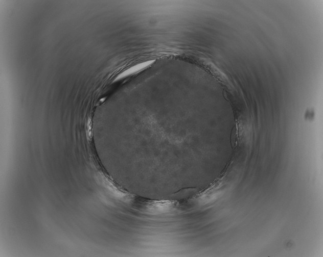 X0000093470479200710261047