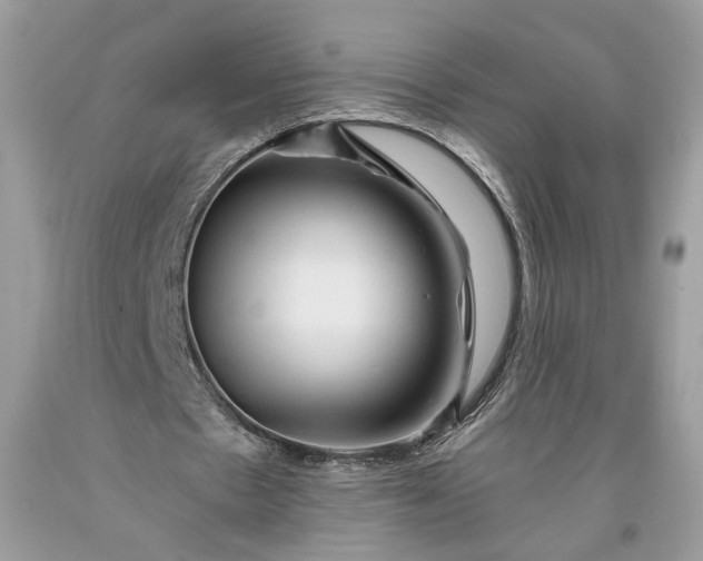 X0000093470481200710261046