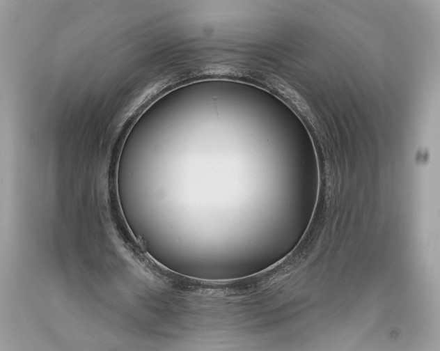 X0000093470482200710261046