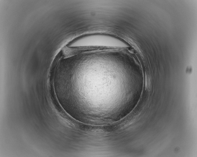 X0000093470483200710261046