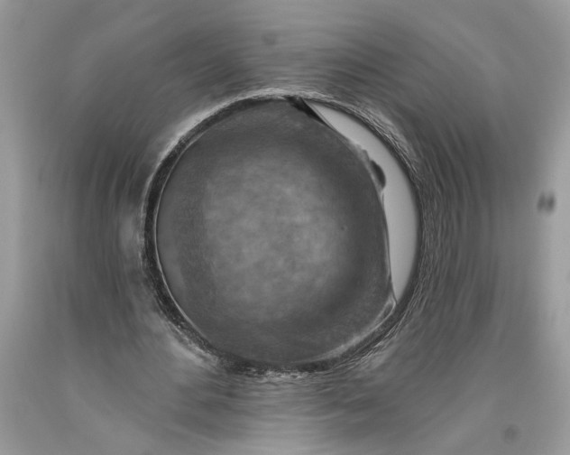 X0000093470484200710261046