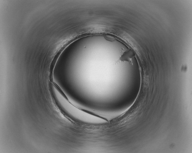 X0000093470485200710261046