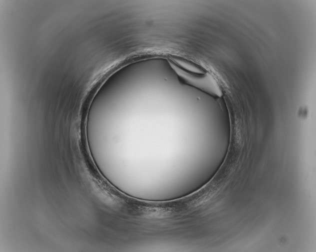 X0000093470486200710261046