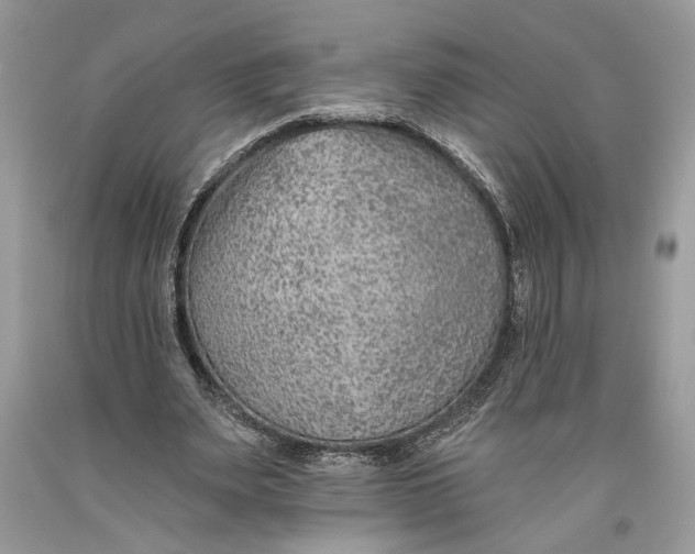 X0000093470487200710261046