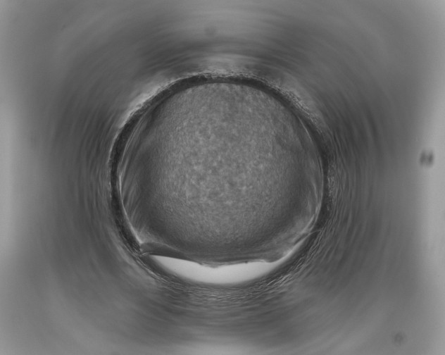 X0000093470488200710261046