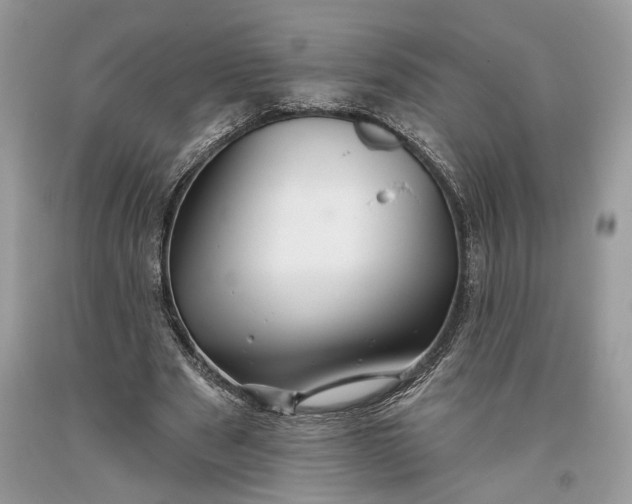 X0000093470489200710261046