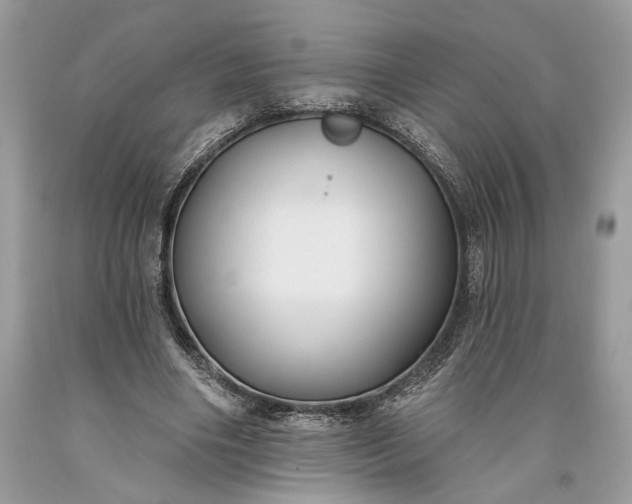 X0000093470490200710261046