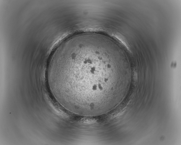 X0000093470491200710261046