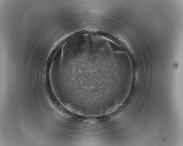 X0000093470492200710261046