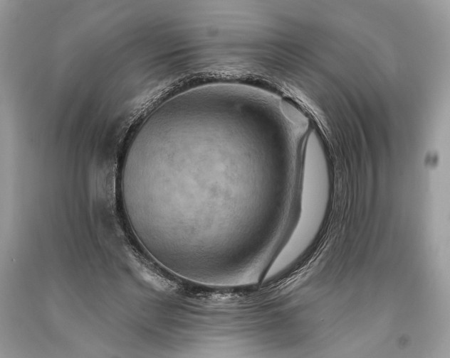 X0000093470493200710261046