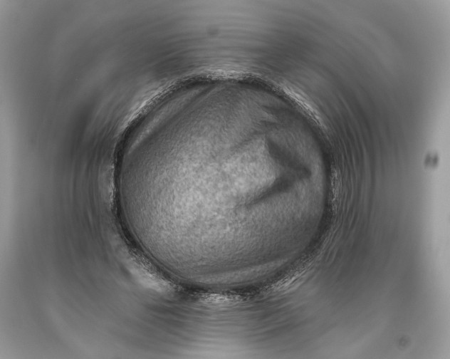 X0000093470494200710261046