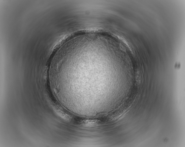 X0000093470495200710261046