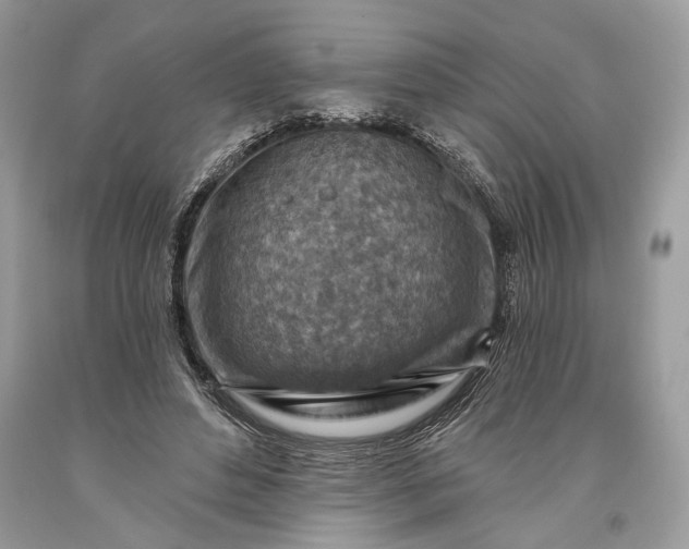 X0000093470496200710261046