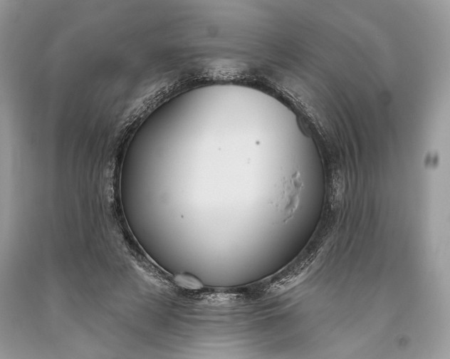 X0000093470497200710261046