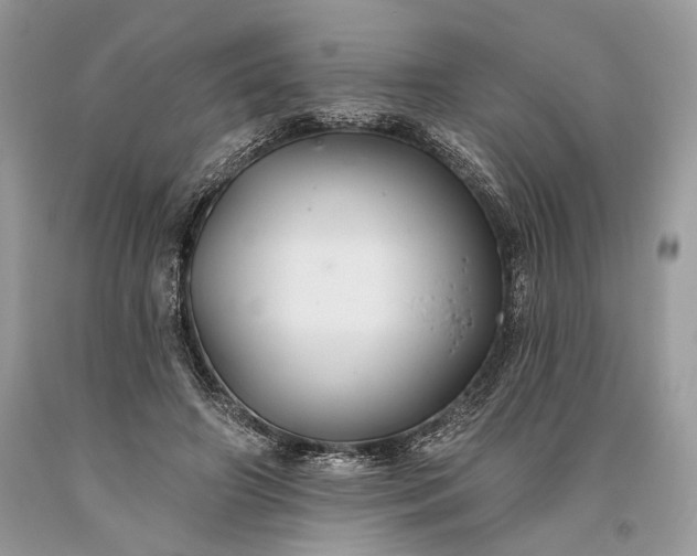 X0000093470498200710261046