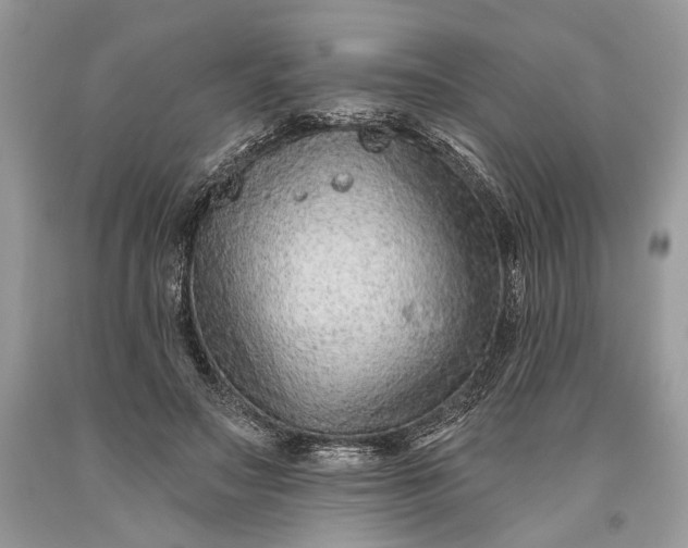 X0000093470499200710261046