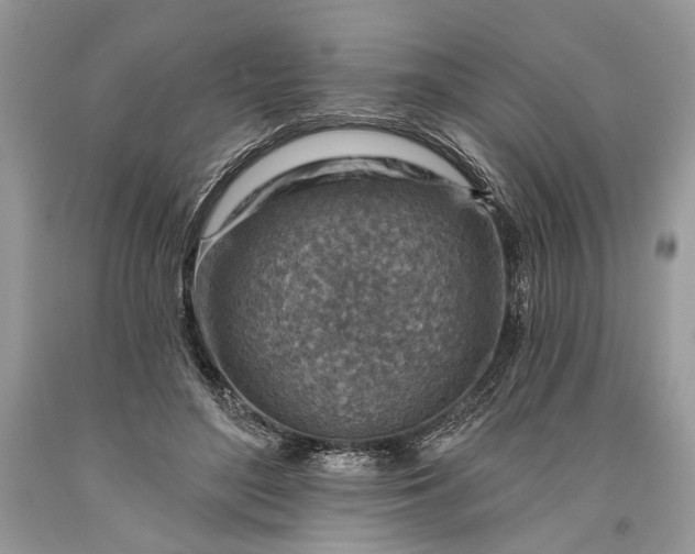 X0000093470500200710261046