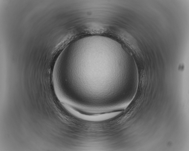 X0000093470501200710261046