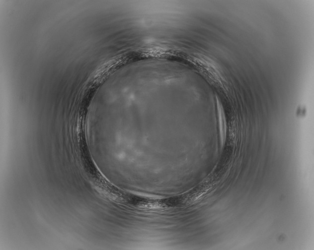 X0000093470503200710261046