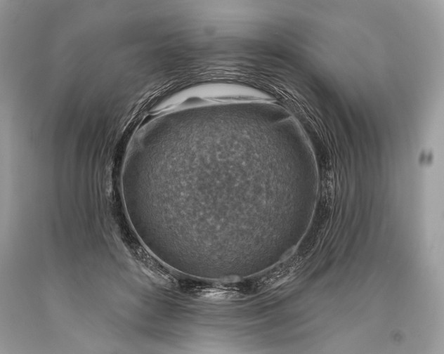 X0000093470504200710261046