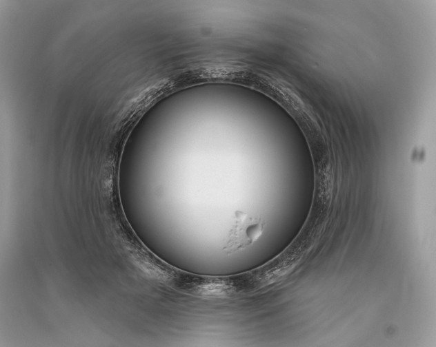 X0000093470505200710261046