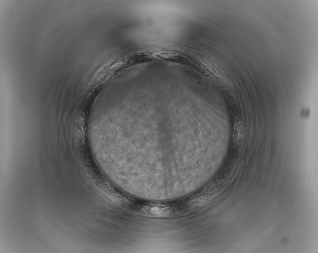 X0000093470506200710261046