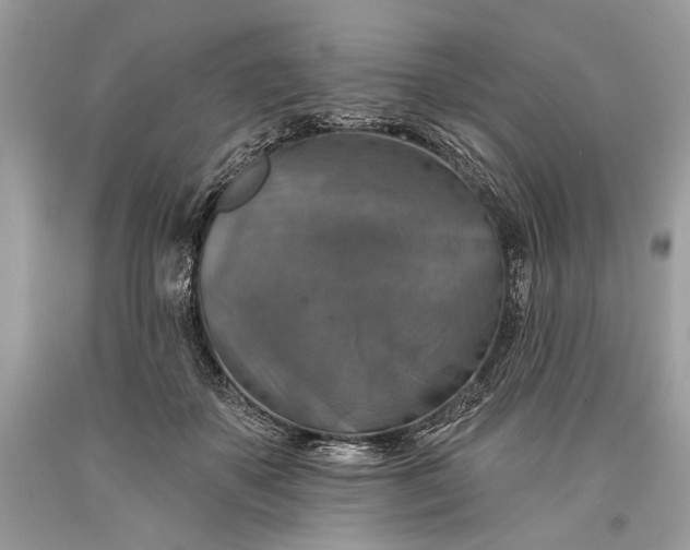 X0000093470507200710261046