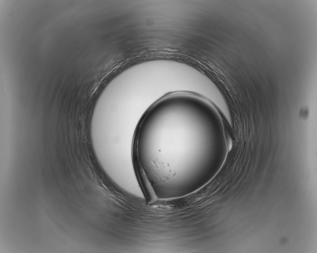 X0000093470508200710261046